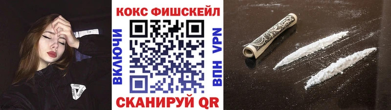 КОКАИН Fish Scale цены Владимир