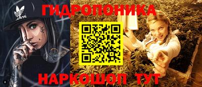 крисы Ростов Великий