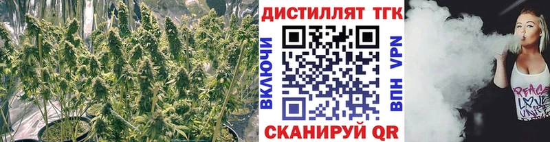 Дистиллят ТГК вейп  Владимир 