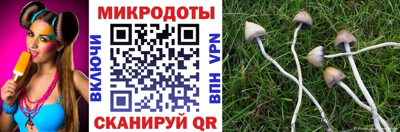 как найти наркотики Владимир Псилоцибиновые грибы ЛСД