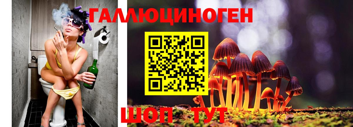 Владимир  Галлюциногенные грибы Psilocybe  Вход с VPN  Псилоцибиновые грибы мухоморы 