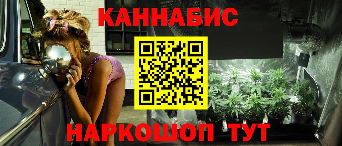 Конопля ГИДРОПОН Владимир